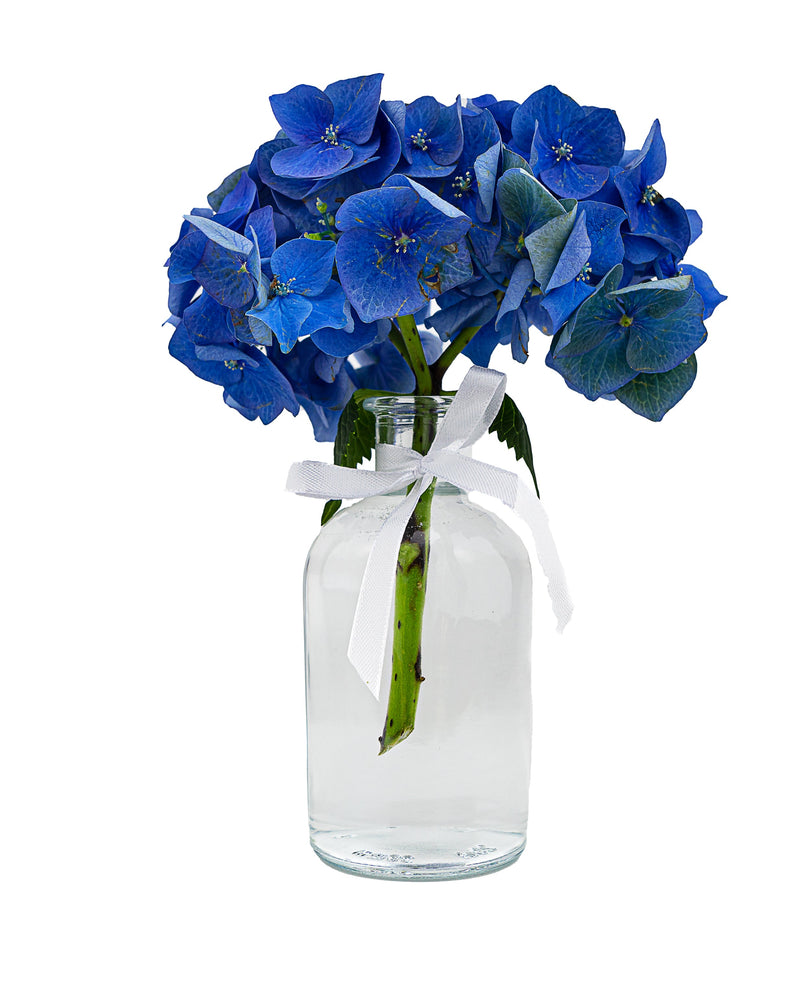 250 ml "New- Bost- Vase"