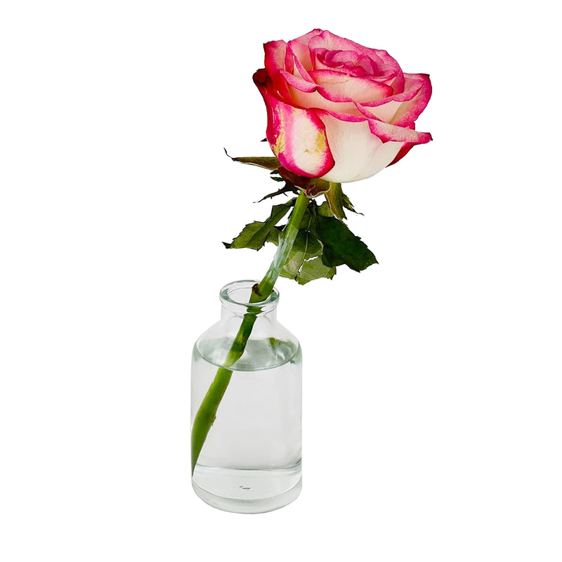 Mini-tr-100 ml inklusive Korken